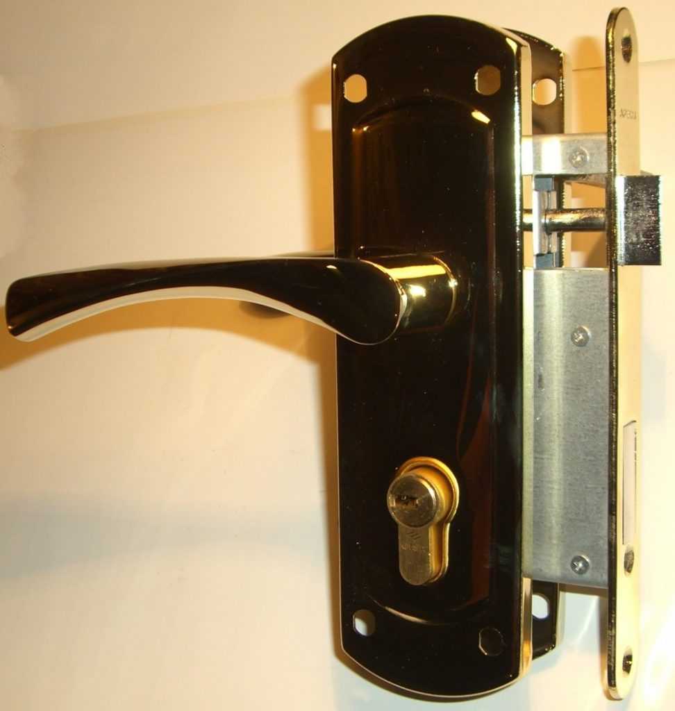 Замок на дверь: 109 фото и описание процесса установки дверного замка